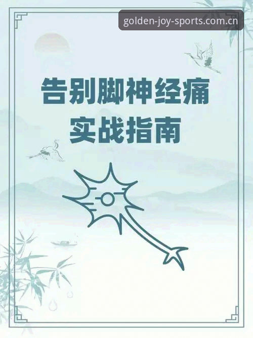 金喜体育平台最新版使用教程：从下载到实战的完整指南