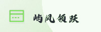 合作伙伴